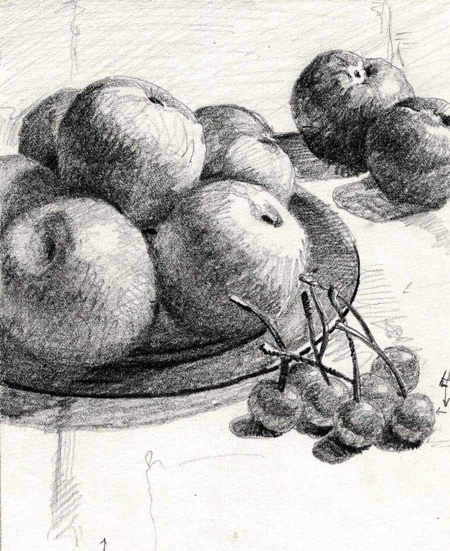 Stone fruit final drawing created to help in the process of the cover art. Brent Watkinson