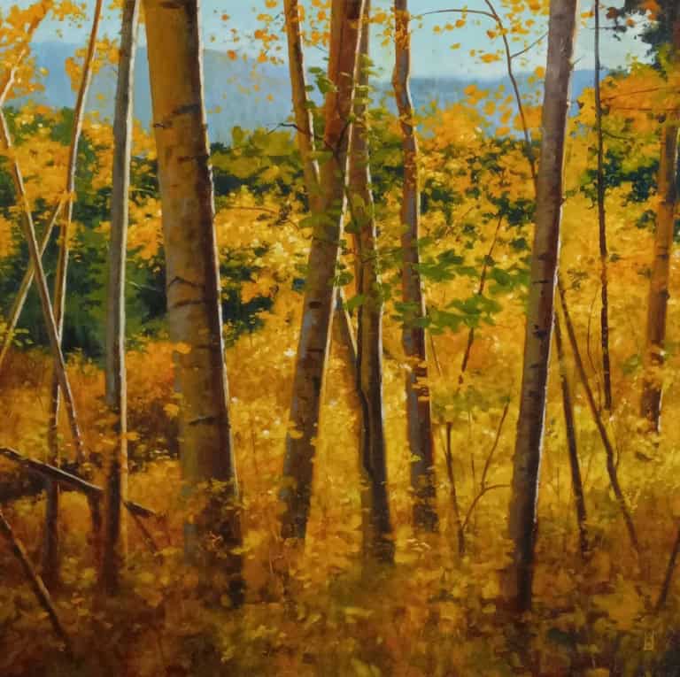 Steven Walker, Gallery Painter & Fine Artists - Visual Arts Passage